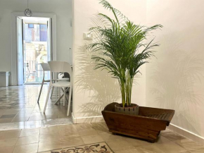 The Cement Tiles